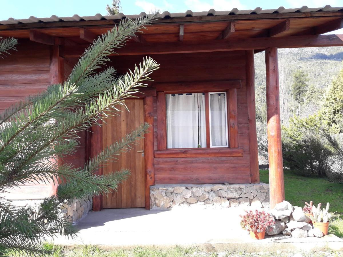 El Jarillal Chalet De Montana A Pasos Del Lago ラゴ・プエロ エクステリア 写真